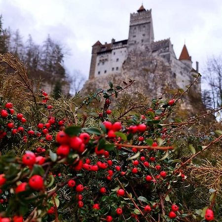 Pensiunea Antonio Bran Bran  Bagian luar foto