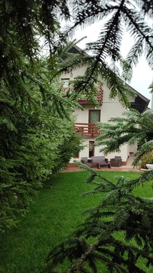 Pensiunea Antonio Bran Bran  Bagian luar foto
