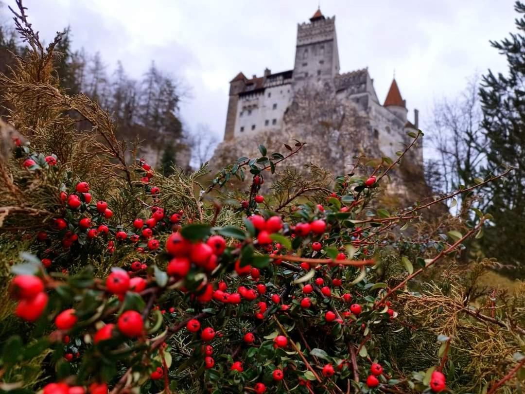 Pensiunea Antonio Bran Bran  Bagian luar foto
