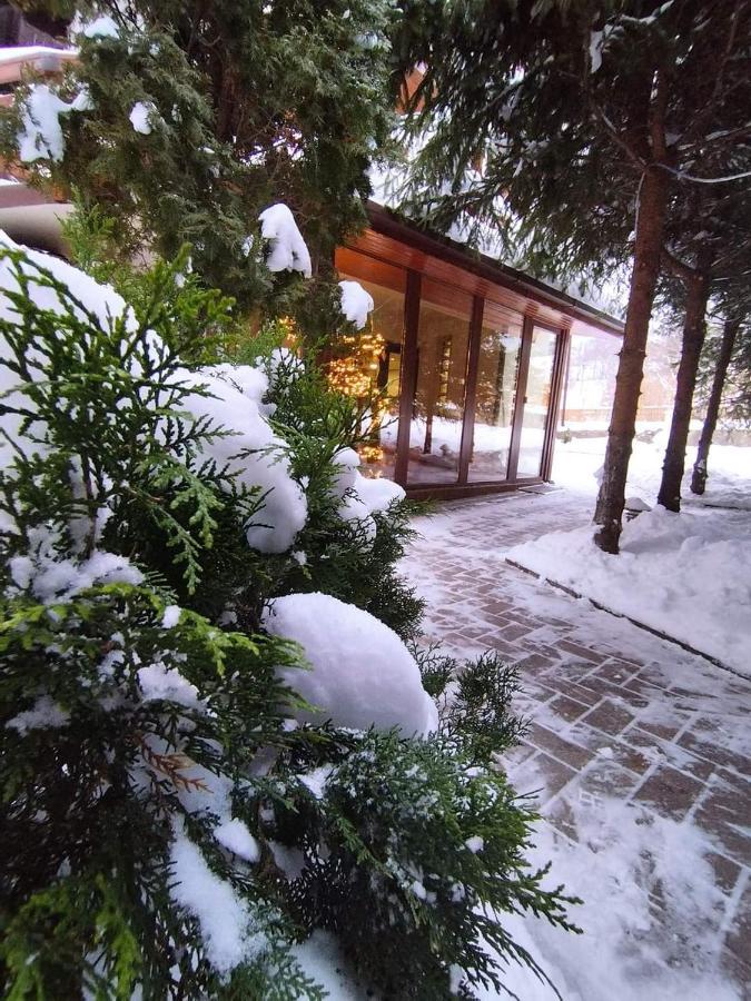 Pensiunea Antonio Bran Bran  Bagian luar foto